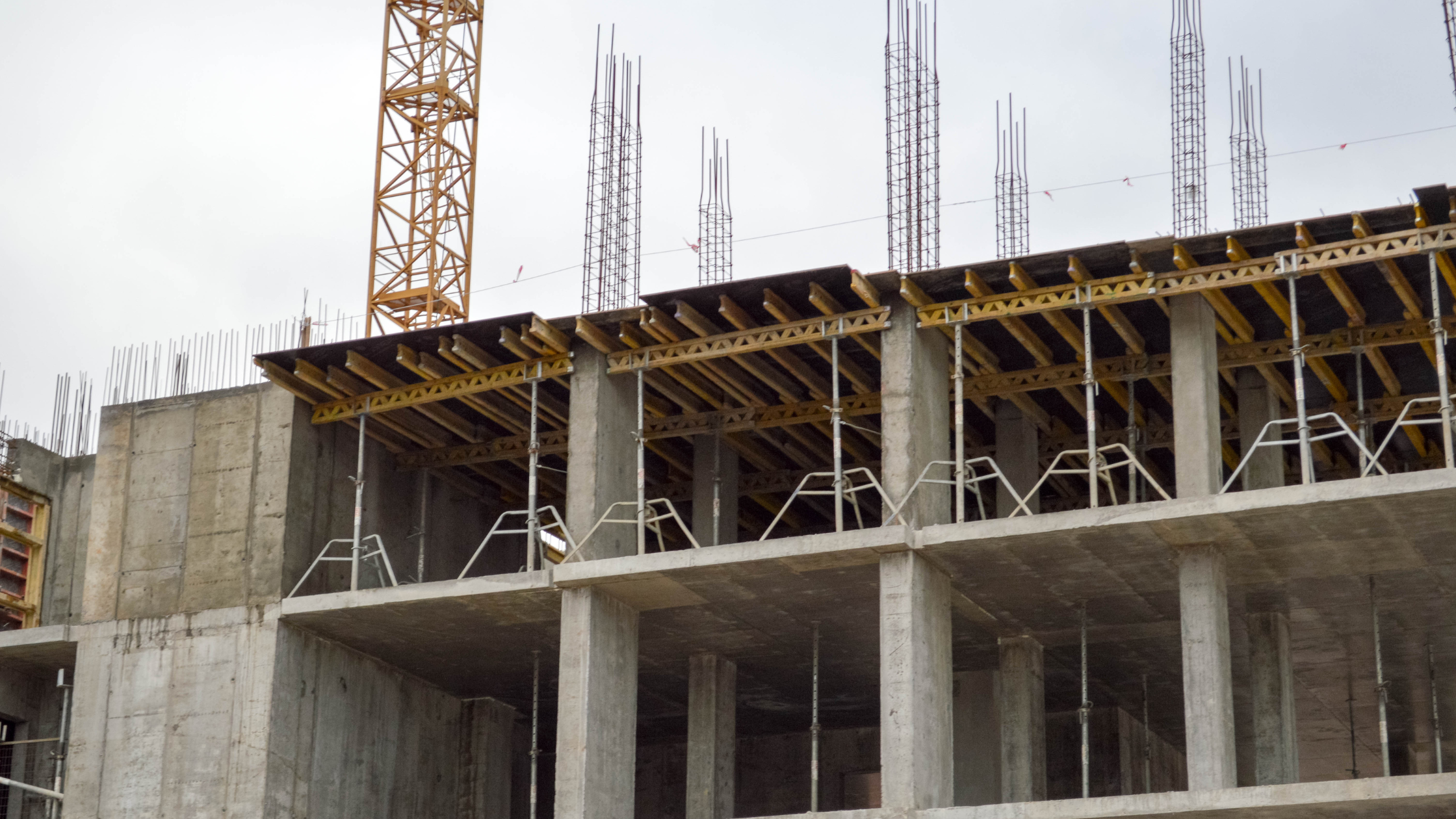 Environmental Laws and Real Estate at Levy Zavet Lawyers